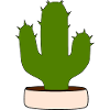 Cactus, cacti, succulents, plant