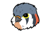 Easily Distracted By Kestrels