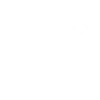 Typ Pinguin Spruch