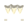 Shark teeth