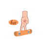 Fingerboard Finger Skateboarding Fingerboarding