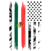 Mexican Pride Mexico Flag