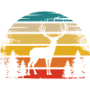 Soleil rétro et chasse - (3)