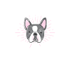 Boston Terrier Mom