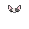 Boston Terrier