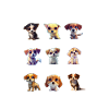 Dog9x9 blancChoseOne2