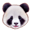 Panda 4
