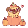 Cute Pug In Pumpkin