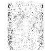 Gravel Bike - Ride Gravel Bike Gravel Road Bike