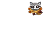 Raccoon