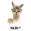 Lustiges Alpaka Lama