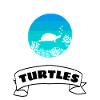 Retro Turtle Girls