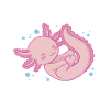 Axolotl Mama