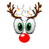 Funny Reindeer Face