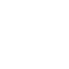 Labrador Dogs