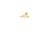 Chiens Labrador
