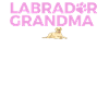 Chiens Labrador