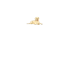 Chiens Labrador