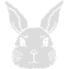 Little cute rabbit face