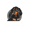 Dackel Mama Dackel Mama Geschenk