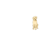 Chiens Labrador