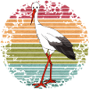 Stork bird