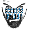 scheiss da nix bayrisch dialekt