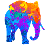 Elephant Elephant Silhouette Gift