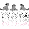 Chats de yoga