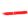 Samsun 55 Türkiye Turquie