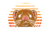 Conseils du furet