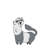Anatomie Eines Frettchens