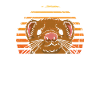 Danse et Dook Ferrets