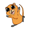 Quokka