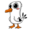 Cute seagull