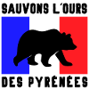 Sauver Ours des pyrénées