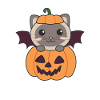 Cat Halloween Pumpkin Bat Costume