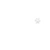 J’aime mes chiens
