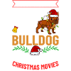 Chien Bulldog anglais Chiots Noël