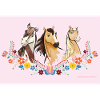 Spirit, Chica Linda e Boomerang