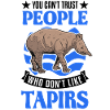 Tapir Lowland Tapir Tapirdae Tapir