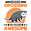 Because Opossums are freaking awesome