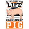 Pig Gift Farmer Pigs