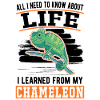 Caméléon CadeauChameleon