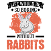 Rabbit Gift Rabbit Rabbit