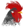 Rooster