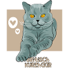 British Shorthair Cat