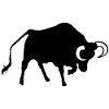 Bull