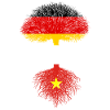 Deutsch mit vietnamesischen Wurzeln