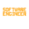 Stupid Software Engineer